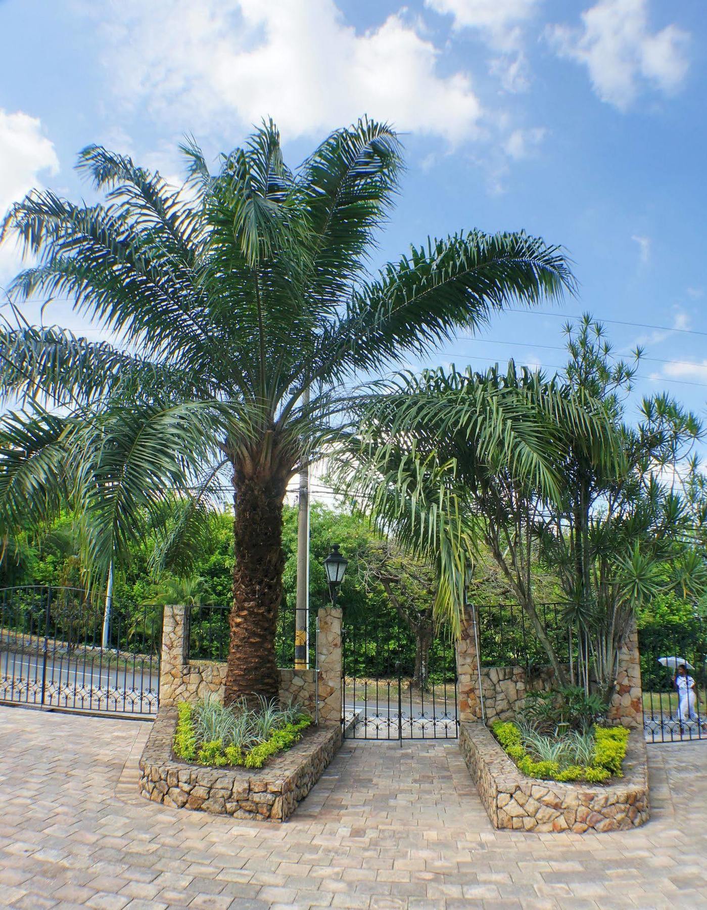 Urban Hotel Boutique Menga Luaran gambar